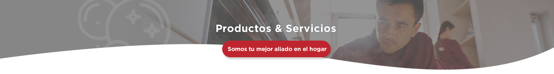 Servicios